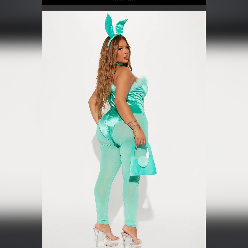 Cutest Sexy Bunny 5 Piece Costume Set - Mint